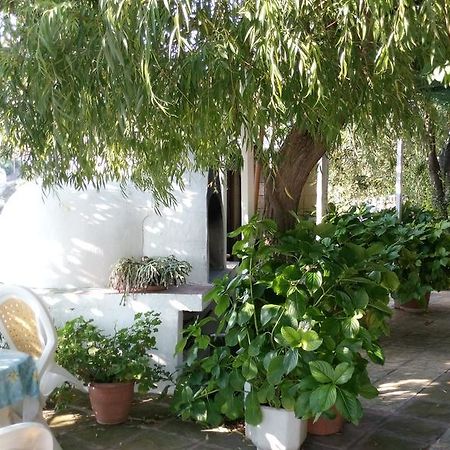 Filoxenia Rooms Makrilies Exterior photo